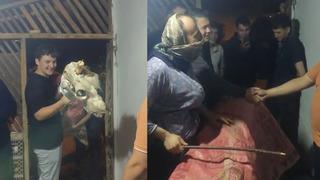 Asırlardır süren ilginç gelenek! Kapı kapı gezip bunu yapıyorlarmış: Kostümün içine gizlenerek...