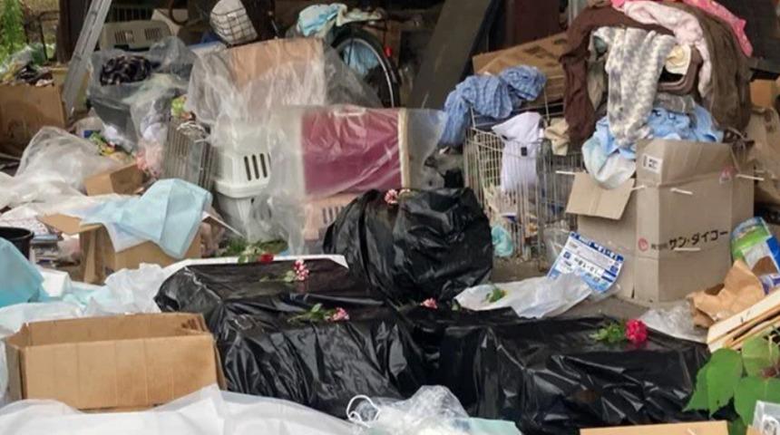 Koruma derneğine üyeydi... Evinde 100'den fazlası ölü çıktı!