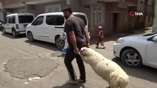 Diyarbakır'da bayramın son gününde kurbanlık yoğunluğu