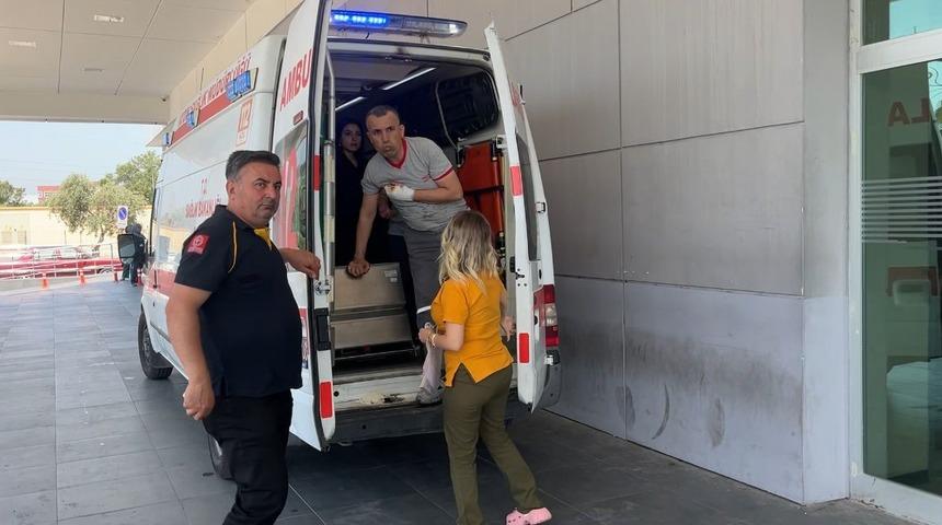 Aydın’ın acemi kasap bilançosu belli oldu