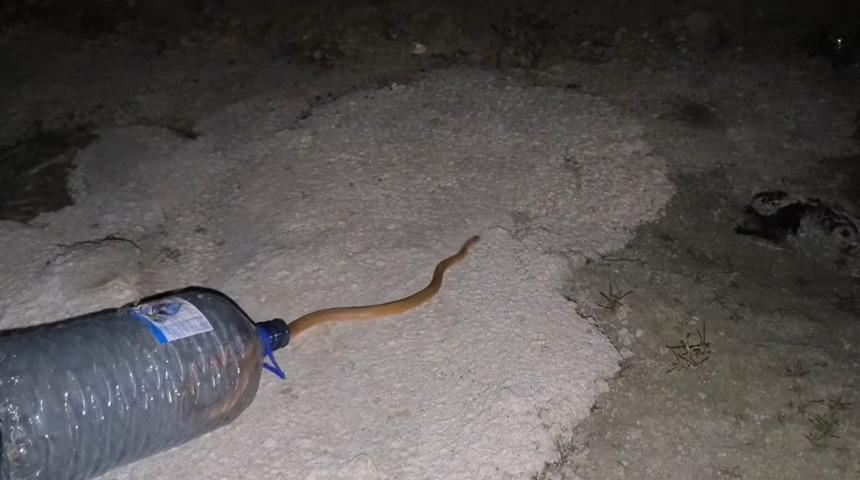  Van'da aracın motoruna giren yılanı DKMP ve itfaiye ekipleri çıkardı