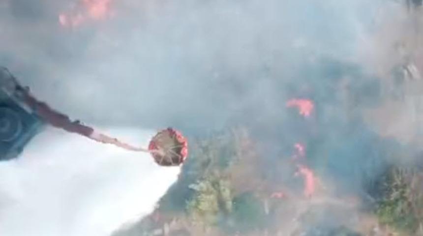 İzmir'de tarım arazisinde yangın