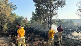 Mangal yakarak orman yangınına neden olan şahıs tutuklandı