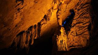 'Fiyatına göre müthiş' Rekor kırdı! Binlerce kişi akın etti