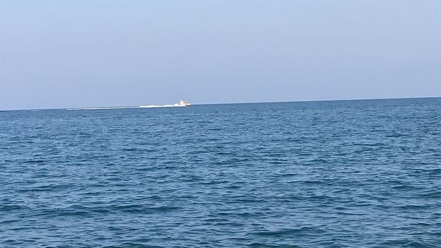 Mersin'de korku dolu anlar! Dev katil balığı korkusu tatilcileri endişelendirdi... 