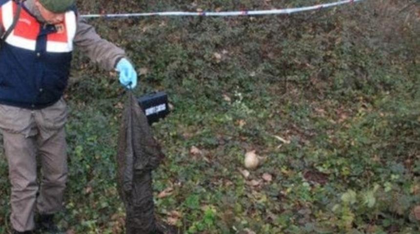 Ormanda insan kemikleri bulundu!