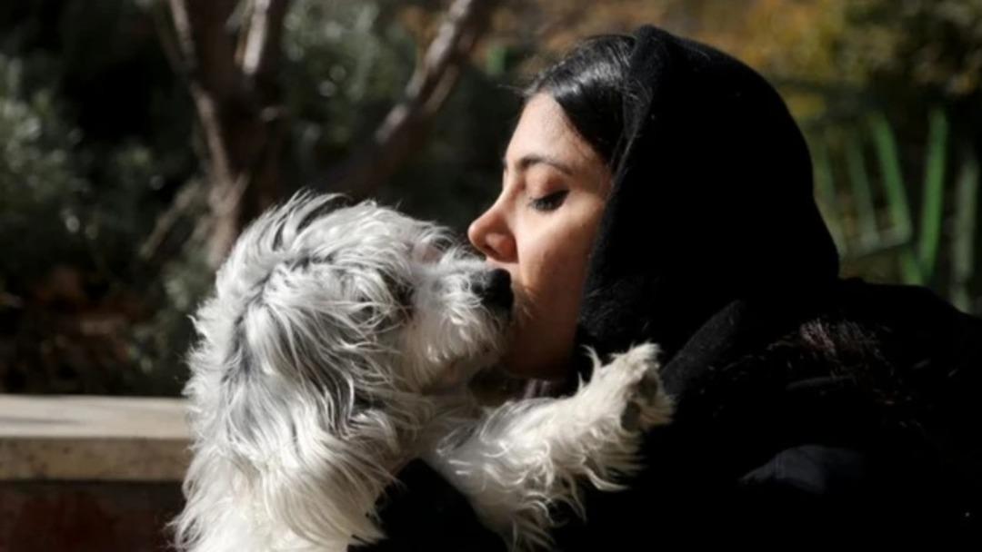 _125872106_girldog2.png
