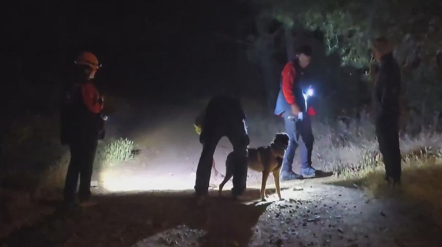 Yer: İstanbul! Arabasından inip ormanda kayboldu: Arama çalışması başlatıldı