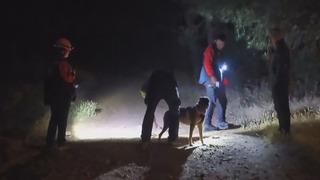 Yer: İstanbul! Arabasından inip ormanda kayboldu: Arama çalışması başlatıldı