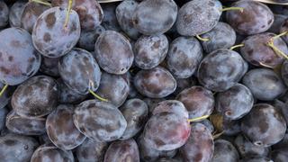 Mürdüm eriğinin faydaları nelerdir? Mürdüm eriğinin kurusunun faydaları