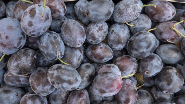 Mürdüm eriğinin faydaları nelerdir? Mürdüm eriğinin kurusunun faydaları