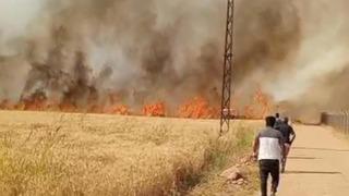 Harran Ovası'nda 40 dönüm ekili arazi yandı