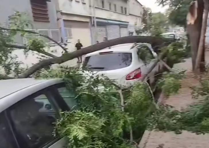 Gaziantep'te yaz günü fırtına görüntüsü! Ağaçlar devrildi, çatılar uçtu, elektrik telleri koptu... G1