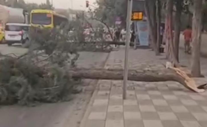 Gaziantep'te yaz günü fırtına görüntüsü! Ağaçlar devrildi, çatılar uçtu, elektrik telleri koptu... G4