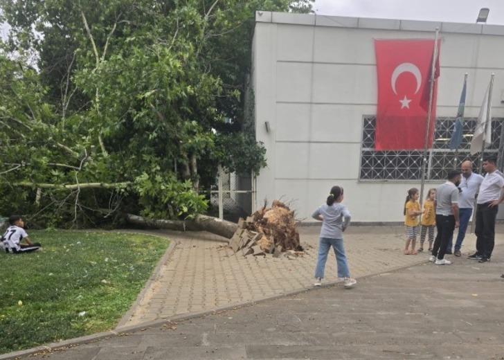 Gaziantep'te yaz günü fırtına görüntüsü! Ağaçlar devrildi, çatılar uçtu, elektrik telleri koptu... G5