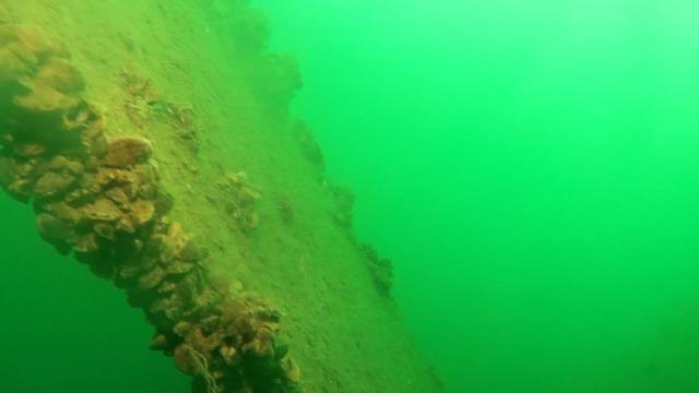 İçinde bir gizemi barındırıyor! 53 yıl sonra görüntülendi, diğerlerinin yeri bilinmiyor