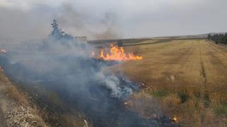 Şanlıurfa’da orman yangını: Alevlerin petrol istasyonuna sıçramaması için seferber oldular