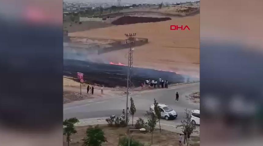 Batman'da yangın! 30 dönüm ekili buğday yandı