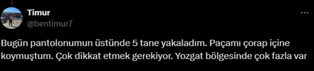 Dikkat çeken görüntü! Kene bir vatandaşı resmen kovaladı! Mutasyona mı uğramış? 4