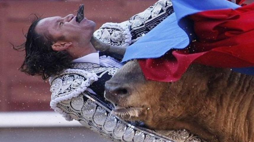 Boğa'nın intikamı ağır oldu (VİDEO)