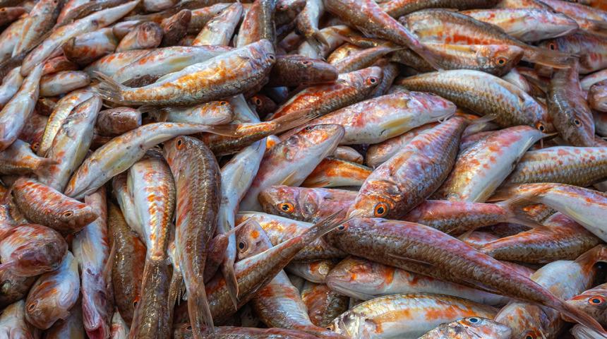 Barbun balığının faydaları nelerdir? Barbun balığı neye iyi gelir?