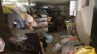 Aydın'daki çöp evden 4 kamyon çöpün yanı sıra 12 kedi ile 3 kaplumbağa çıktı