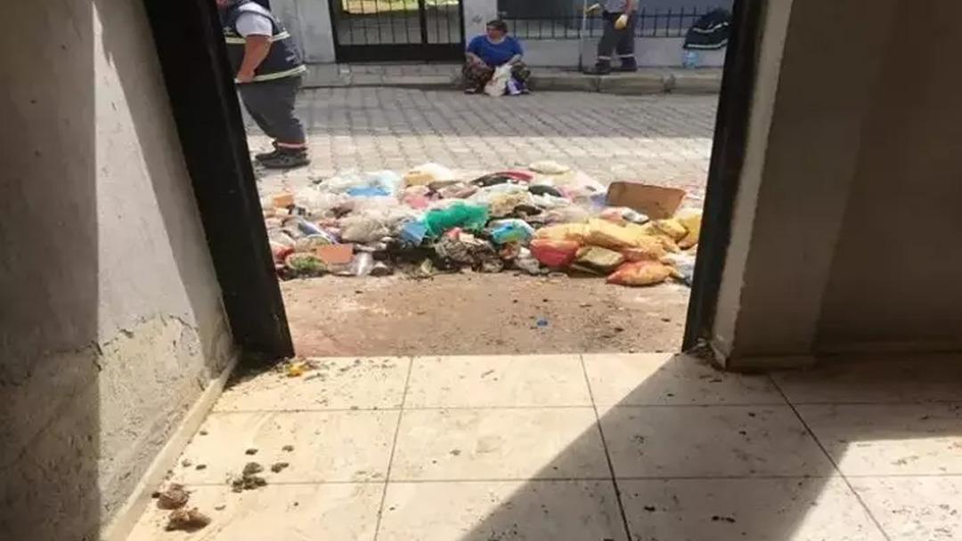 Aydın daki çöp evden 4 kamyon çöpün yanı sıra 12 kedi ile 3 kaplumbağa çıktı 1