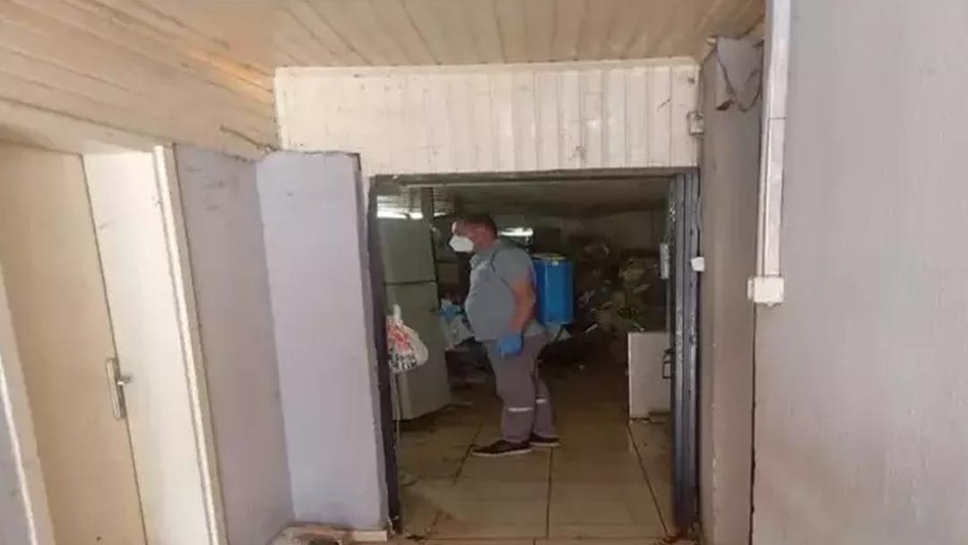 Aydın daki çöp evden 4 kamyon çöpün yanı sıra 12 kedi ile 3 kaplumbağa çıktı 2
