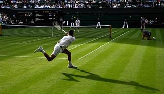 Wimbledon'da rekor para ödülü!