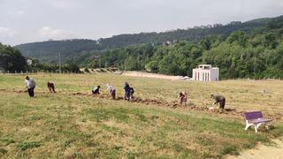 Safranbolu safranında soğan hasadı başladı! Safranı geleceğe taşımak için hep birlikte çalışacağız