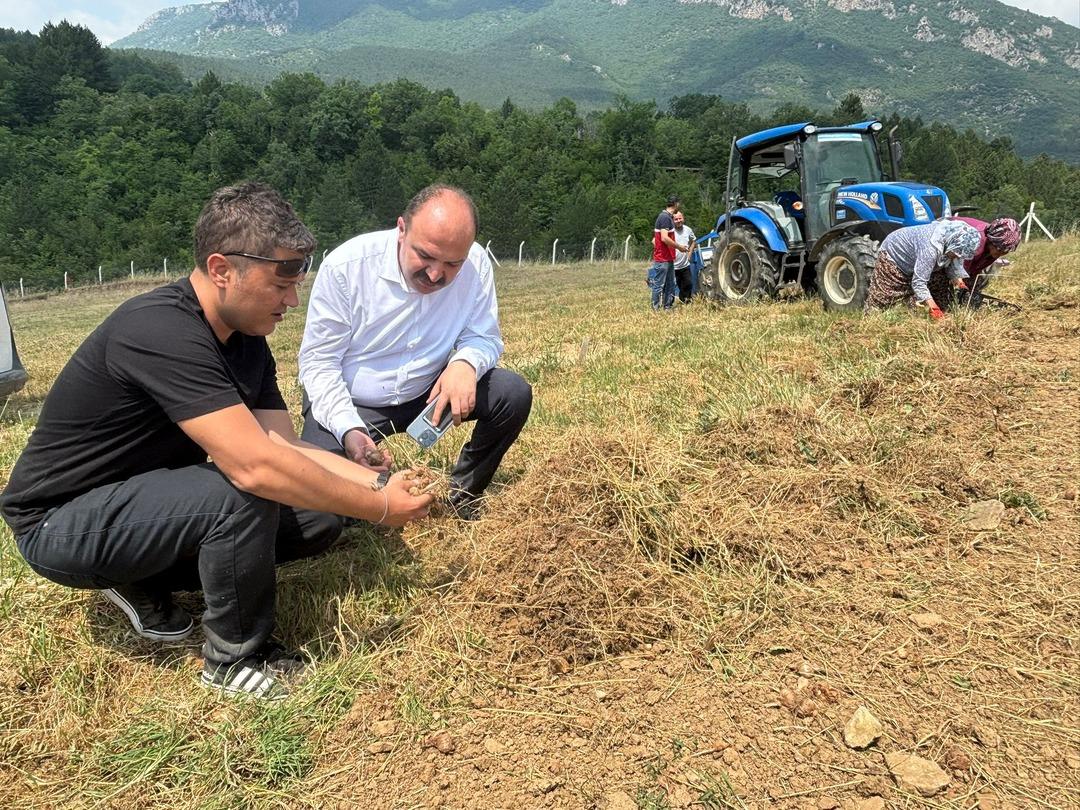 Safranbolu safranında soğan hasadı başladı! "Safranı geleceğe taşımak için hep birlikte çalışacağız" 5