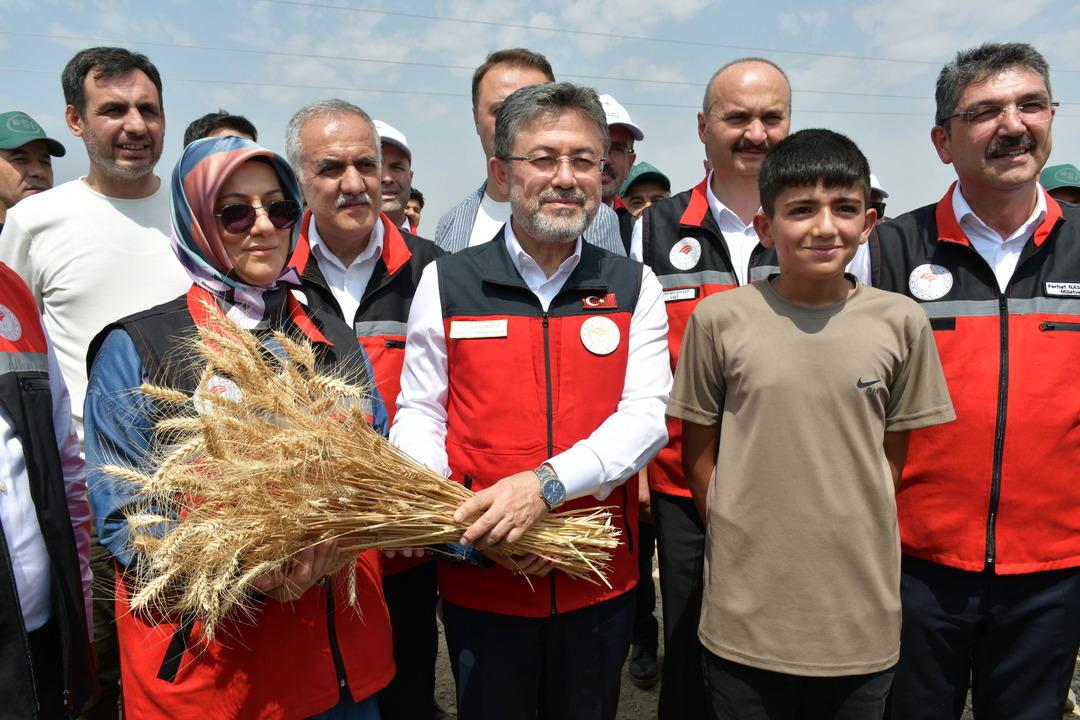 AA-20250613-38265011-38265007-TARIM_VE_ORMAN_BAKANI_IBRAHIM_YUMAKLI_BATMANDA_BUGDAY_HASADINA_KATILDI