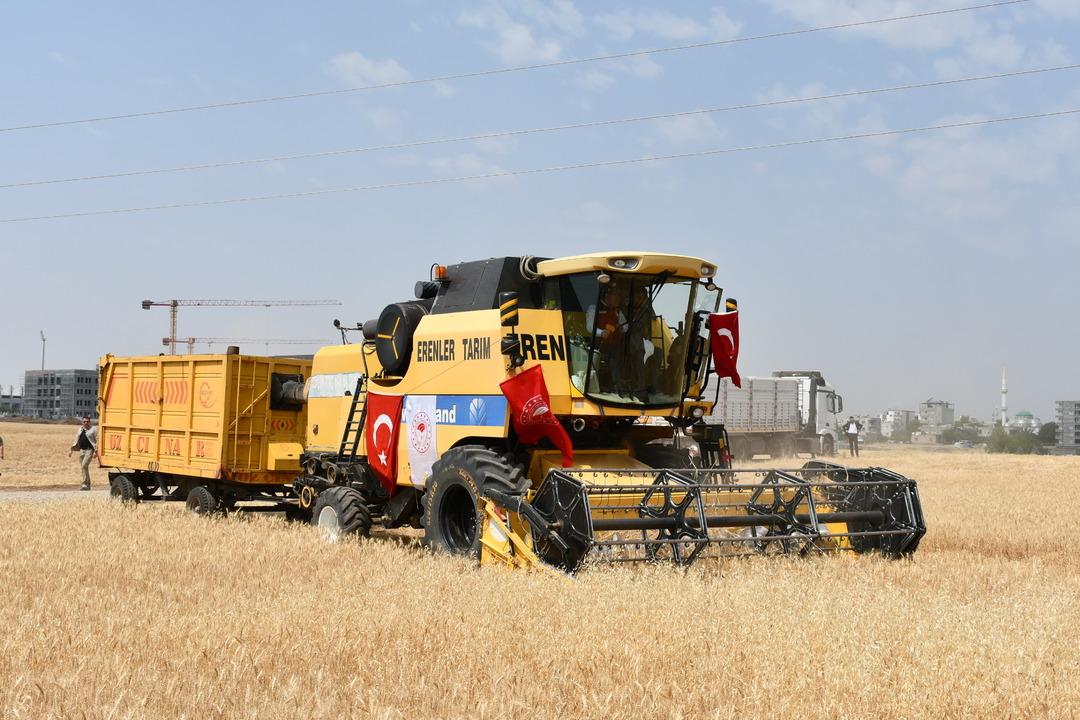 AA-20250613-38265011-38265003-TARIM_VE_ORMAN_BAKANI_IBRAHIM_YUMAKLI_BATMANDA_BUGDAY_HASADINA_KATILDI