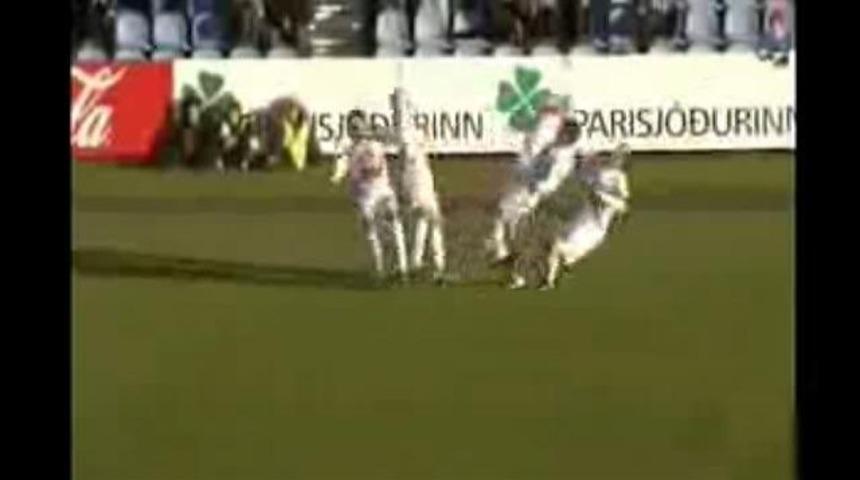 Sonunda bombayı patlattılar!