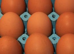 Yumurta üretimi düşüyor! 