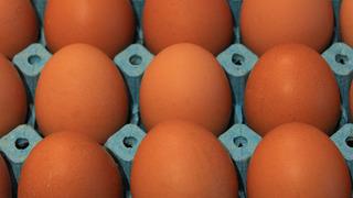 Yumurta üretimi düşüyor! 
