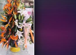 Babalar günü öncesi rağbet o çiçeğe arttı! Erkekler için talep ona yöneldi '200 lira fiyatı var'