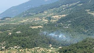 Aydın'da orman yangını! 3 hektarlık alan zarar gördü