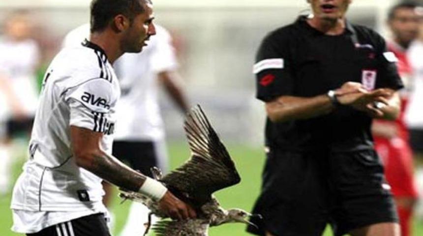 Kartal Q7, martı avladı!