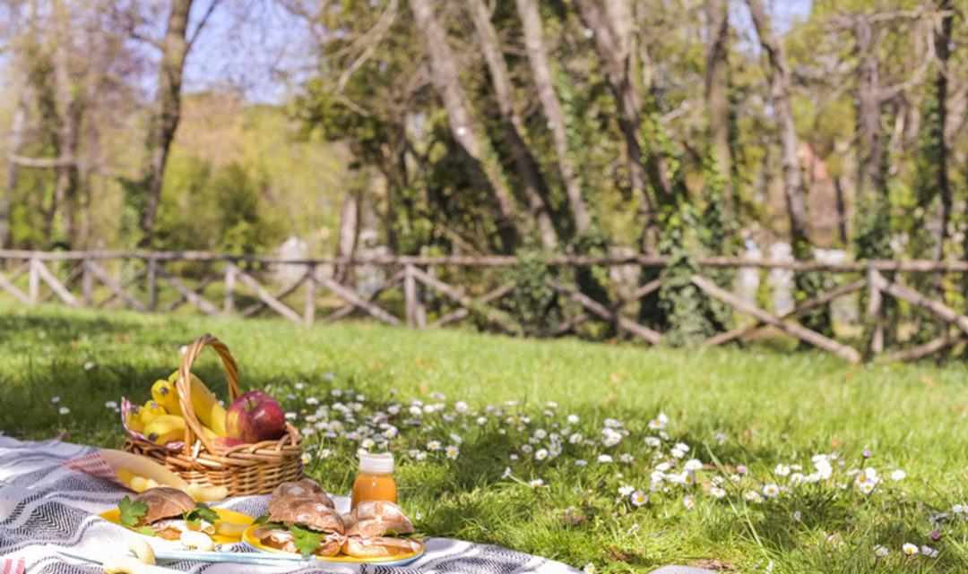 Piknik menüsü: 1 sepette tüm lezzetler! Doğanın tadını çıkarırken lezzetten ödün vermeyin 1