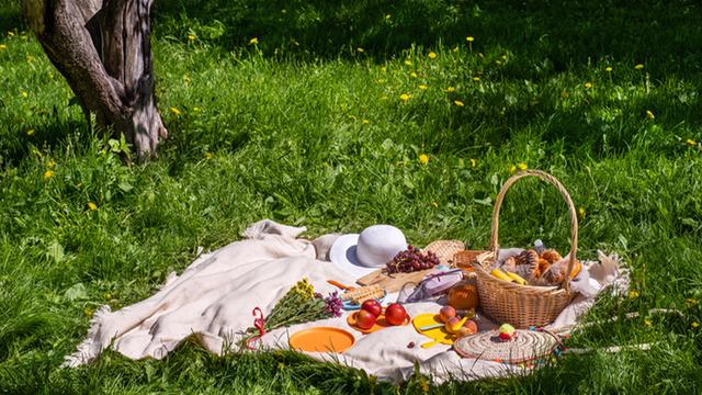 Piknik menüsü: 1 sepette tüm lezzetler! Doğanın tadını çıkarırken lezzetten ödün vermeyin