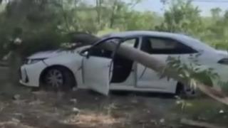 Muğla'da görünmez kaza: Radar aracının üzerine ağaç devrildi!