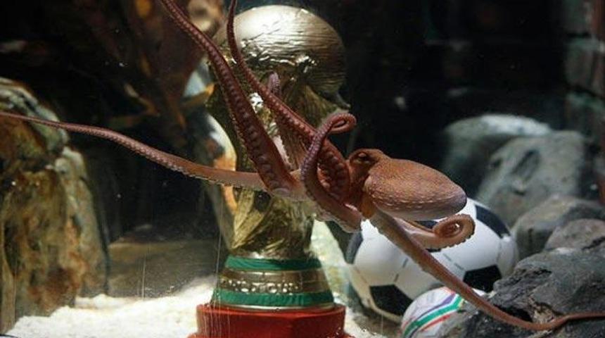 Kahin Paul'u kim &ouml;ld&uuml;rd&uuml;?