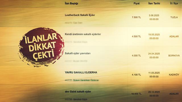 10 bin TL'ye satıyorlar, 60 bin TL cezası var!