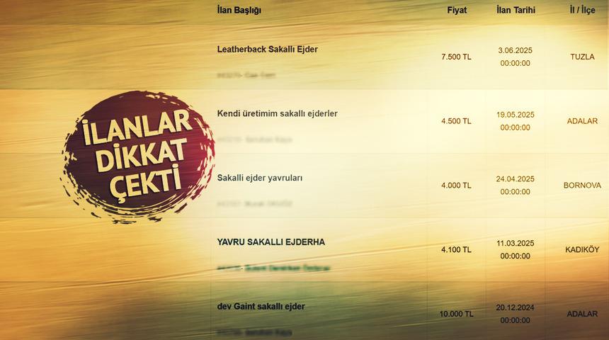10 bin TL'ye satıyorlar, 60 bin TL cezası var! İlandaki açıklamalar dikkat çekti
