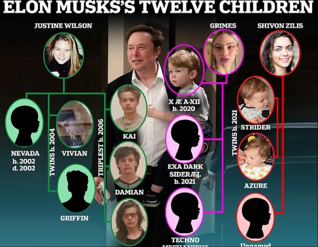 Elon Musk ın trans kızı dansıyla damga vurdu! Göçmenler için sahneye çıktı 4
