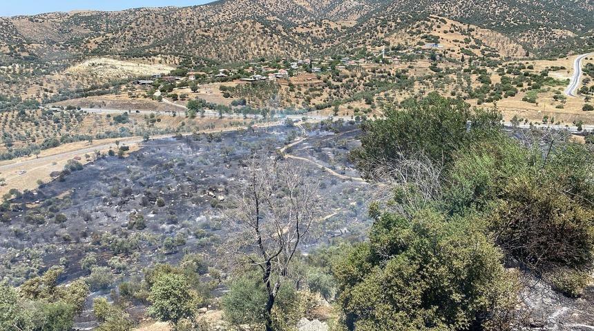Aydın'da zirai alan yangını büyümeden kontrol altına alındı