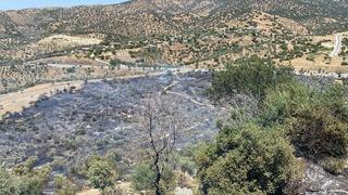 Aydın'da zirai alan yangını büyümeden kontrol altına alındı