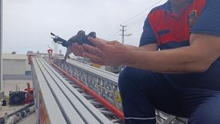 Hatay'da güvercin kurtarma operasyonu