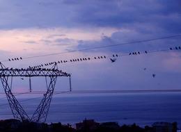 Spot piyasada elektrik fiyatları